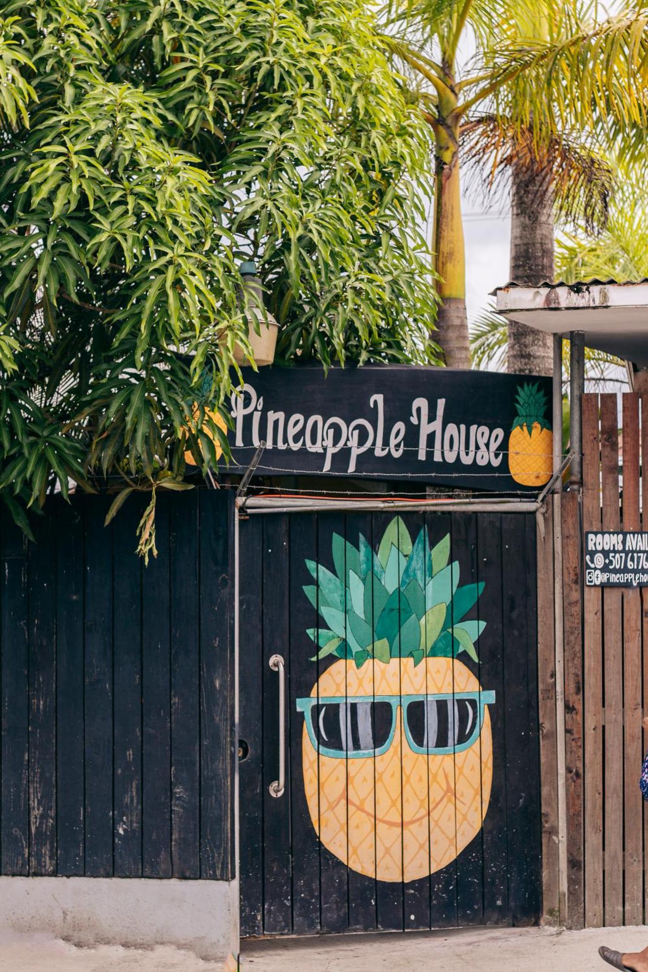 Pineapple House Hotel Bocas Town Kültér fotó